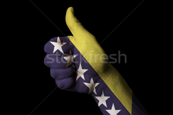 bosnia herzegovina national flag thumb up gesture for excellence Stock photo © vepar5