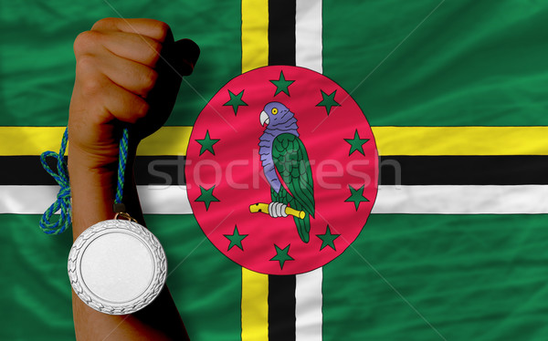 Prata medalha esportes bandeira Dominica Foto stock © vepar5