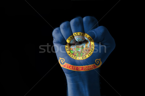 Fist painted in colors of us state of idaho flag Stock photo © vepar5