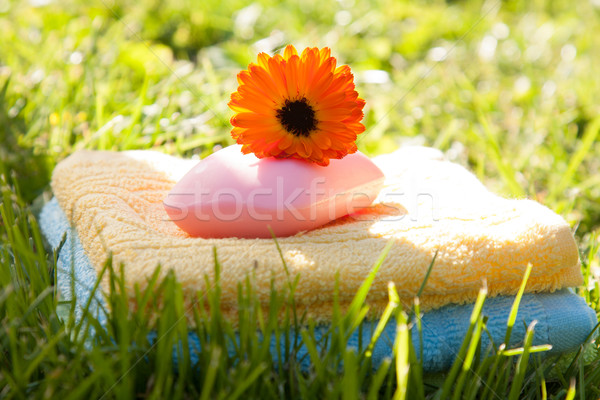 Serviettes savon herbe verte fraîches herbe fleur [[stock_photo]] © veralub