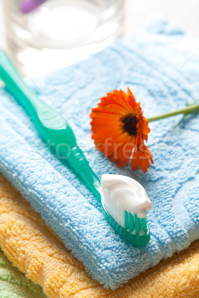 Brosse à dents dentifrice fraîches serviettes [[stock_photo]] © veralub