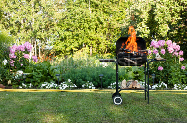 Fiamme barbecue brucia piedi bella giardino Foto d'archivio © veralub
