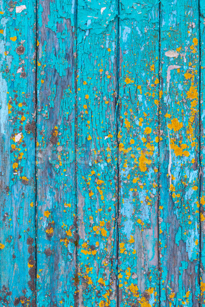 Mavi boyalı ahşap doku yıpranmış boya renkli Stok fotoğraf © veralub