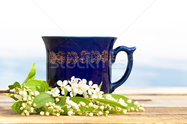Cup of hot beverage with cherry blossom Stock photo © veralub