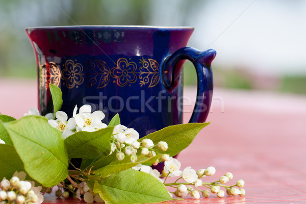 Cup of hot tea with spring blossom Stock photo © veralub