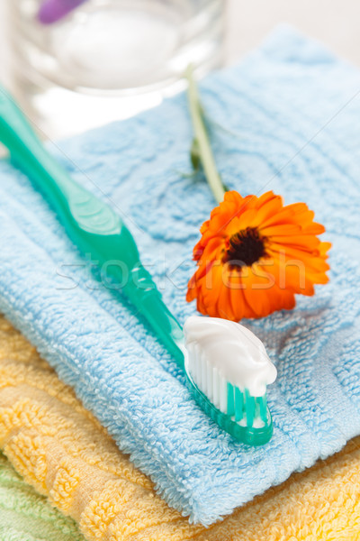 Brosse à dents dentifrice fraîches serviettes [[stock_photo]] © veralub