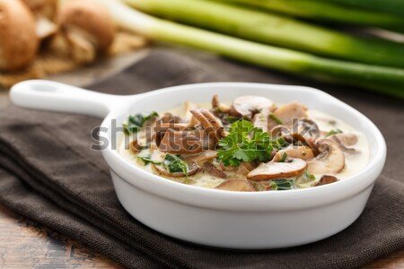 Mushrooms and cream sauce Stock photo © vertmedia