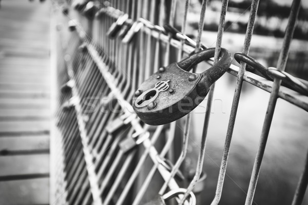 love padlocks Stock photo © vertmedia