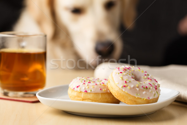 the donut thief Stock photo © vertmedia