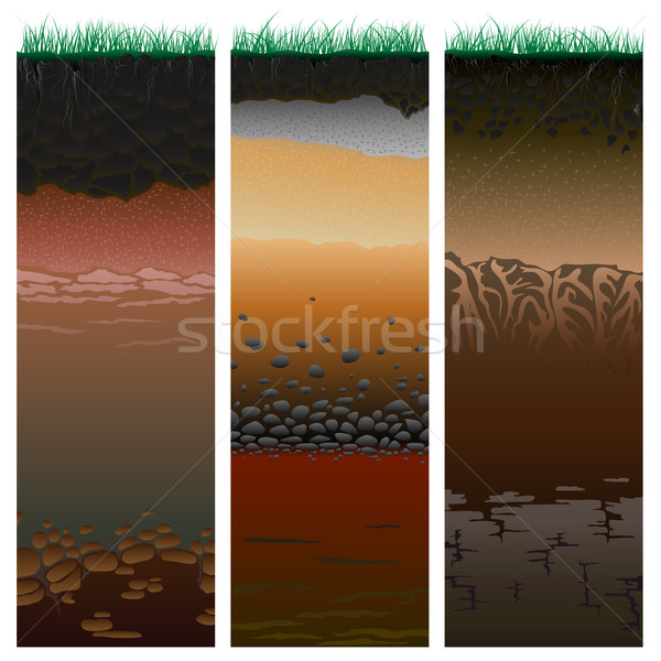 Cięcia gleby kolumny profil trzy trawy Zdjęcia stock © Vertyr