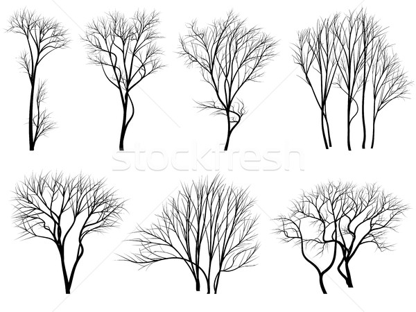 Silhouettes of trees without leaves. Stock photo © Vertyr