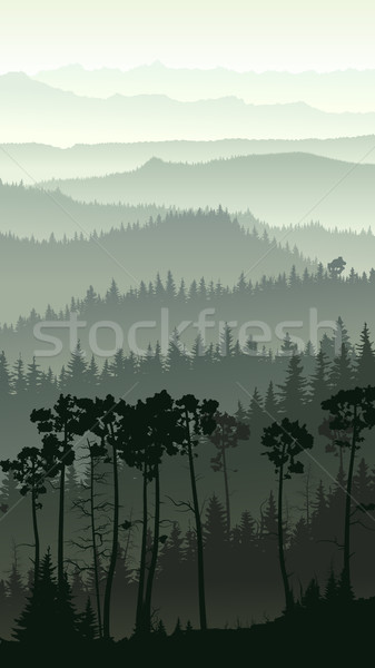Vertical illustration of misty forest hills. Stock photo © Vertyr