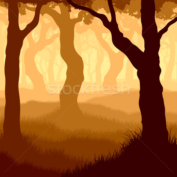 Square illustration within forest. Stock photo © Vertyr
