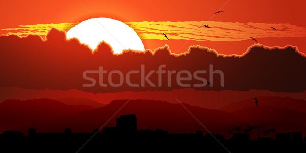Flying birds against orange sunset in clouds. Stock photo © Vertyr