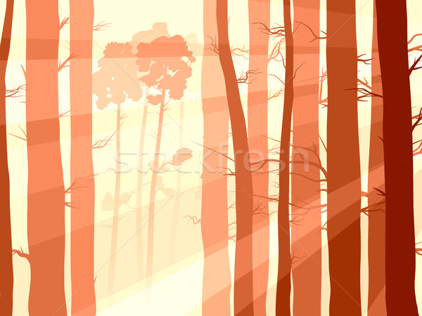  Horizontal illustration of pinewood forest with sun rays. Stock photo © Vertyr