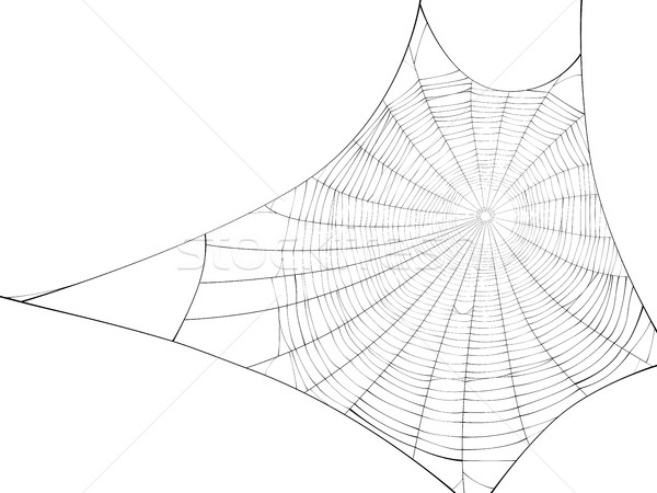 ベクトル シルエット ウェブ クモ 孤立した 白 ストックフォト © Vertyr