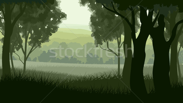 Horizontal illustration within greenwood forest. Stock photo © Vertyr