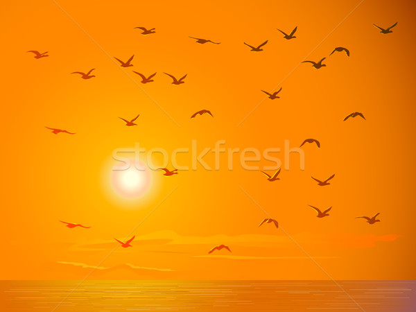Flying birds against orange sunset. Stock photo © Vertyr