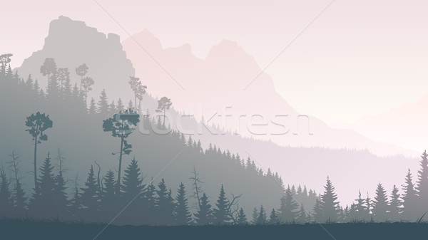 Horizontal illustration of twilight in forest hills. Stock photo © Vertyr