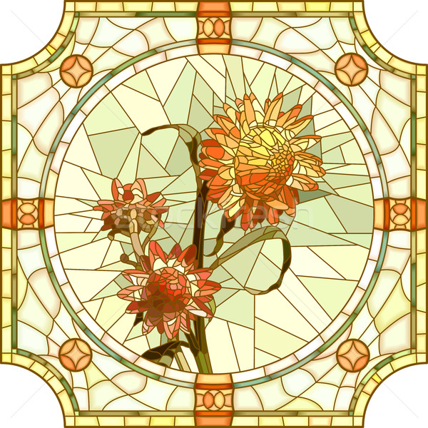 Vector illustration of flower orange immortelle. Stock photo © Vertyr