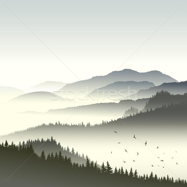 Illustration of coniferous forest on hills in fog. Stock photo © Vertyr