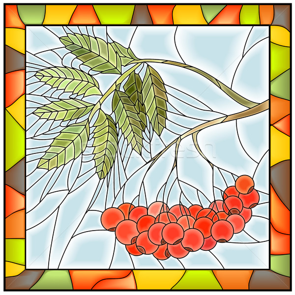Vector illustration of rowan branch with berries. Stock photo © Vertyr