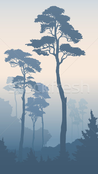 Foto stock: Vertical · ilustração · floresta · alto · manhã