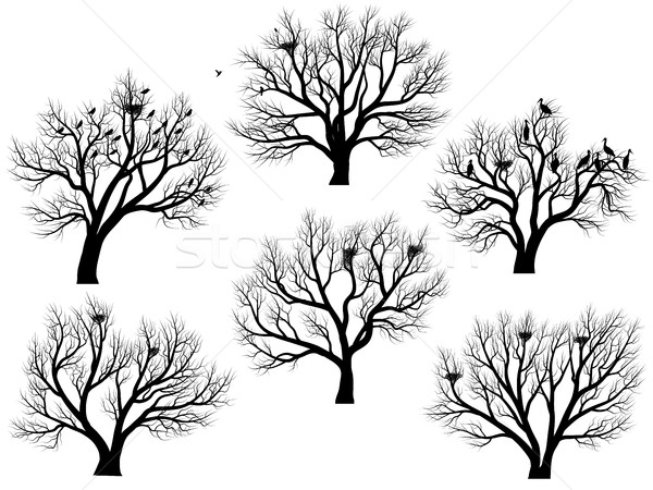 Silhouettes of birds nest in trees without leaves. Stock photo © Vertyr