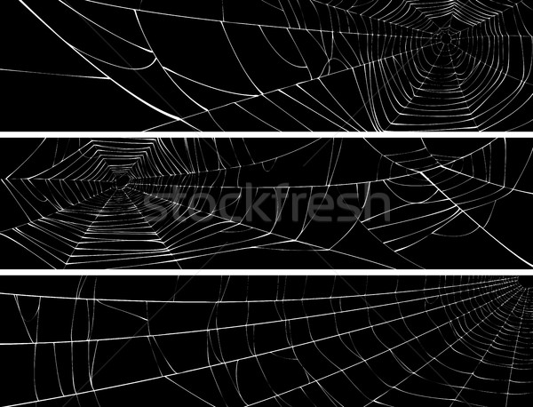 Horizontal banner of web of spider. Stock photo © Vertyr