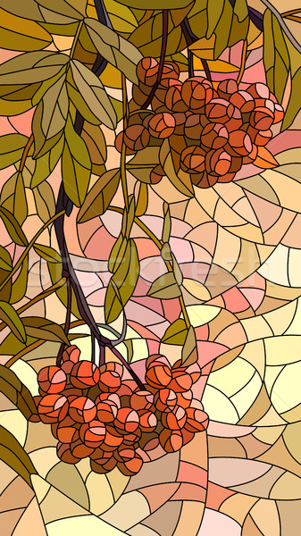 Vector illustration mosaic of red rowan. Stock photo © Vertyr