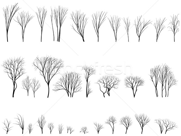 Silhouettes of trees and bushes without leaves. Stock photo © Vertyr
