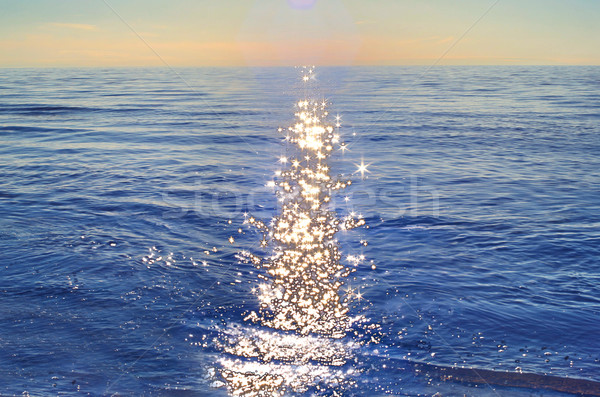 Foto of sea at middle summer day Stock photo © vetdoctor