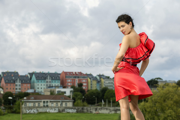 Woman in nice dress posing Stock photo © vetdoctor