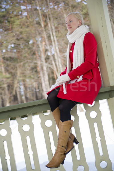 Mulher terraço fronteira olhando distância mulher jovem Foto stock © vetdoctor