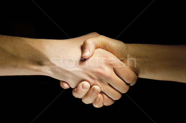 Two hands unite with eachother as agreement Stock photo © vetdoctor