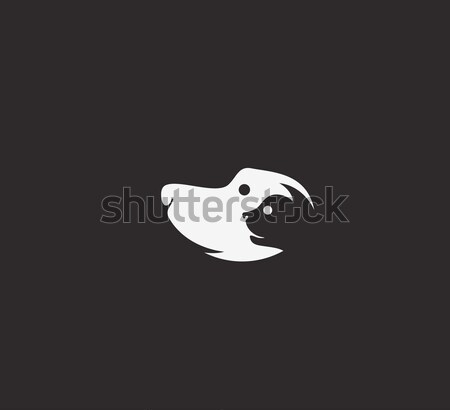 [[stock_photo]]: Chat · chien · ombre · visage · amour · médecin