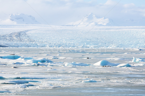 Gleccser Izland víz természet hó szépség Stock fotó © vichie81