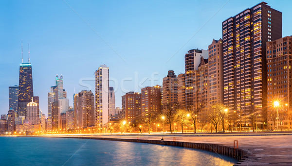 Chicago Panorama USA Stock photo © vichie81
