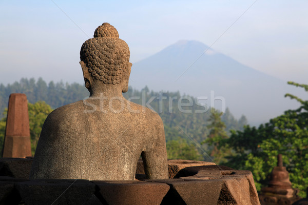 Buda heykel tapınak harabe java Endonezya Stok fotoğraf © vichie81