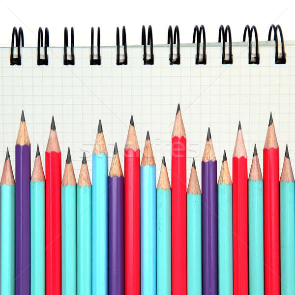 graph ring binding paper with pencil Stock photo © vichie81