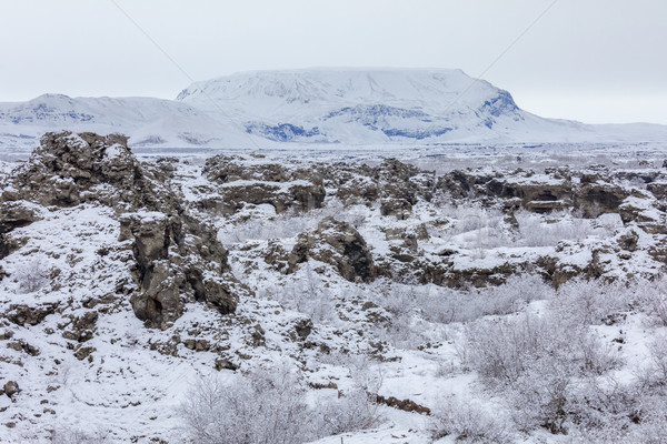 Winter landscape Dimmuborgir Lake Myvatn, Iceland Stock photo © vichie81
