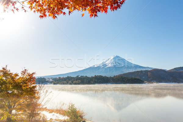 Mt. Fuji in autumn Japan Stock photo © vichie81