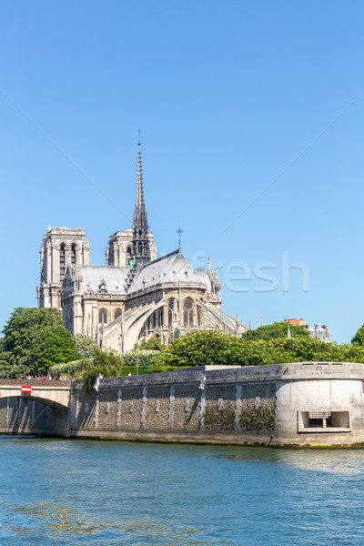 Cathedral Notre Dame Paris Stock photo © vichie81