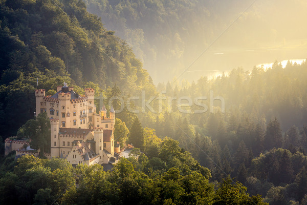 Hohenschwangau castle at Fussen Bavaria, Germany Stock photo © vichie81