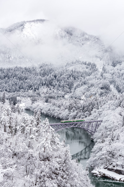 Foto stock: Trem · inverno · paisagem · neve · coberto · árvores