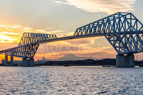 Tokyo poartă pod apus reper Japonia Imagine de stoc © vichie81