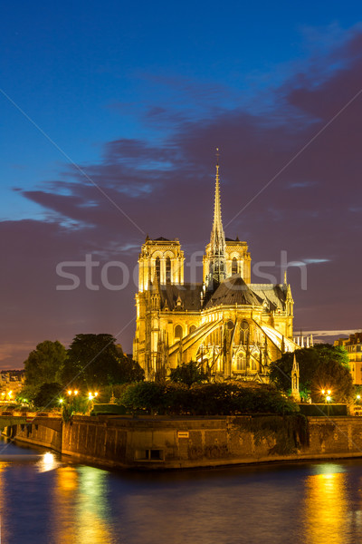 Notre Dame Parijs schemering stadsgezicht rivier Frankrijk Stockfoto © vichie81