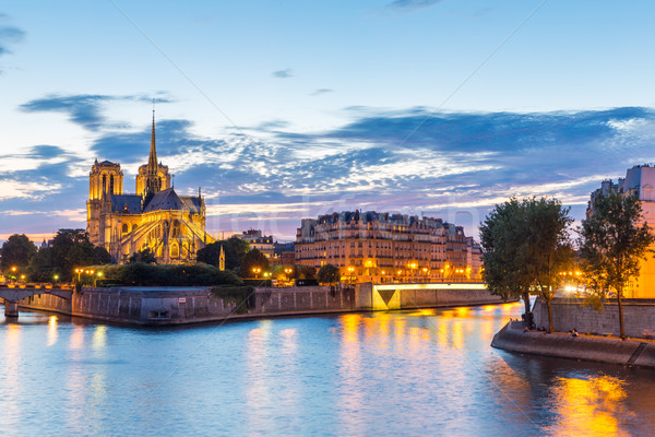 Notre Dame Parijs schemering stadsgezicht rivier Frankrijk Stockfoto © vichie81