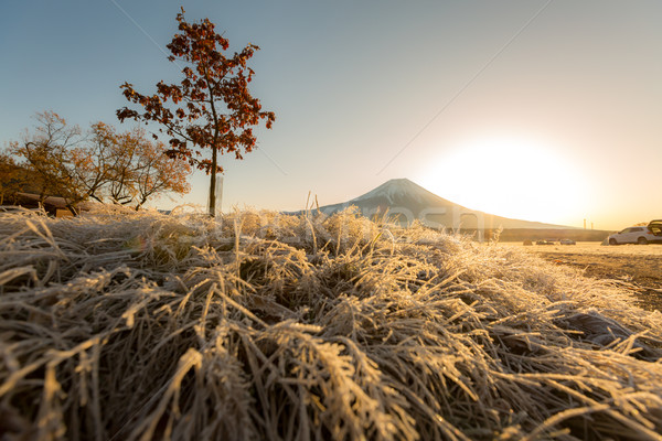 Mount Fuji zonsopgang sneeuw winter cool asia Stockfoto © vichie81