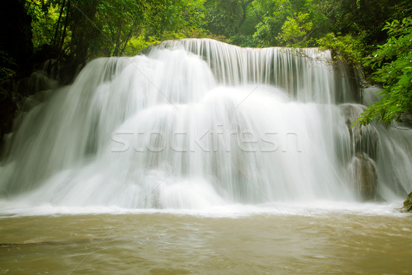 Tropikal rainforest çağlayan park Tayland su Stok fotoğraf © vichie81